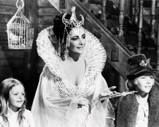 78199 Bluebird Photo Wall