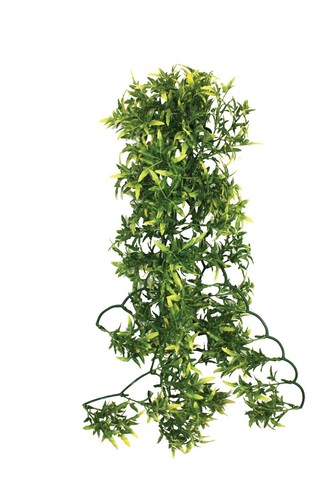Komodo reptile croton plastic - reptile,