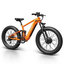 Dual Motor Electric Bike
