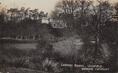 Postcard sussex uckfield - sussex,