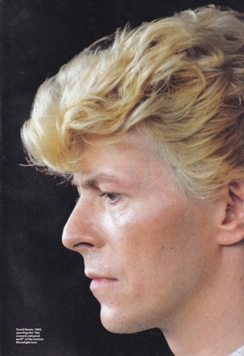 David bowie serious moonlight - david,