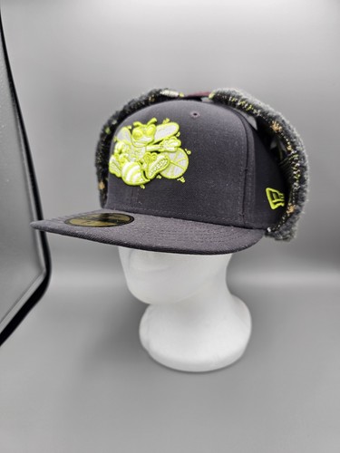 New era dog - dog, ear