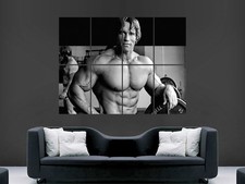 ARNOLD SCHWARZENEGGER POSTER