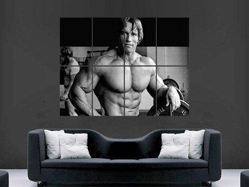 Arnold schwarzenegger poster - arnold,