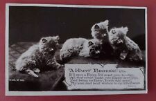 Vintage Cat Postcard, Birthday Greetings, Cute Kittens, Wildt & Kray