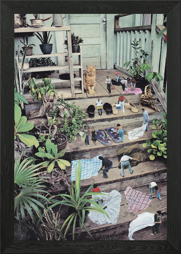 Big cat collage framed wall - cat,