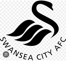 Set Of 5 Swansea Mix Silicone Iron On Patches For Fabrics