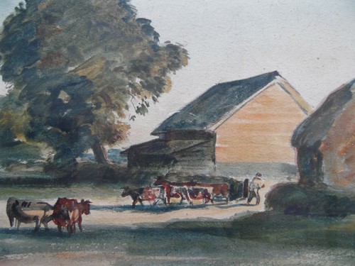 Cattle meadow surrey - cattle,