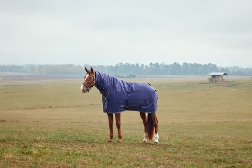 Weatherbeeta comfitec tyro - weatherbeeta,