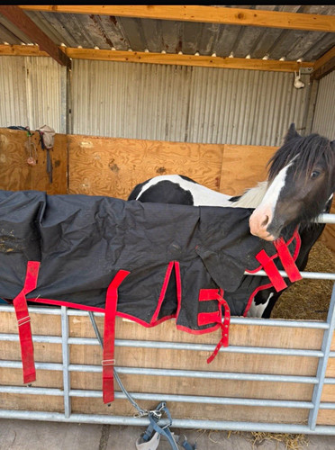 Black red waterproof turnout - black,