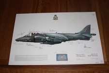 Squadron print harrier - print, gr.5