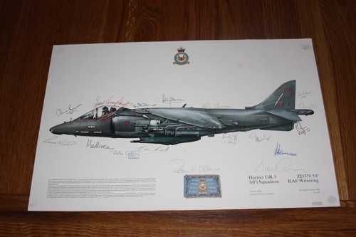 Squadron print harrier - print, no
