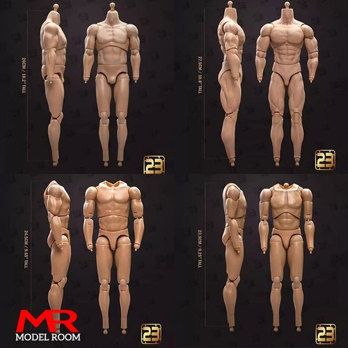 1pc toys scale muscular - 1/6,