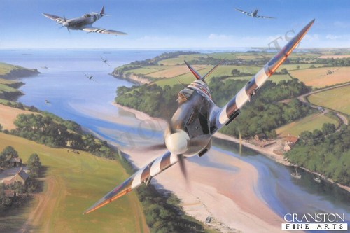 Nicolas trudgian aviation art - nicolas,