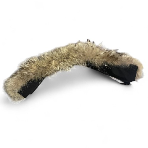Authentic canada goose real - goose,