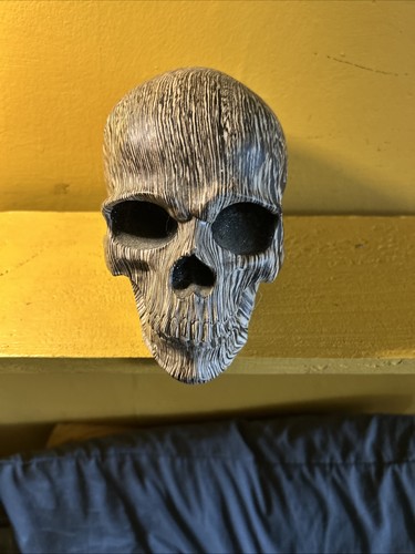 Large marbled resin skull - marbled,