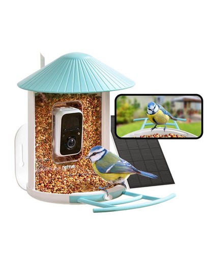 Birdfy smart bird feeder with - smart,