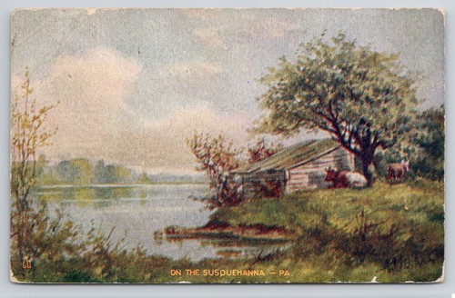 Susquehanna river cabin - river,