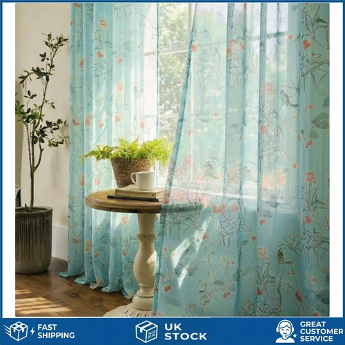 Elegant hummingbird sheer - elegant,