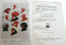 Poultry encyclopedaedia hicks - encyclopedaedia,