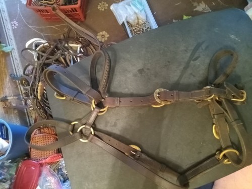 Used leather halter bridle - used,