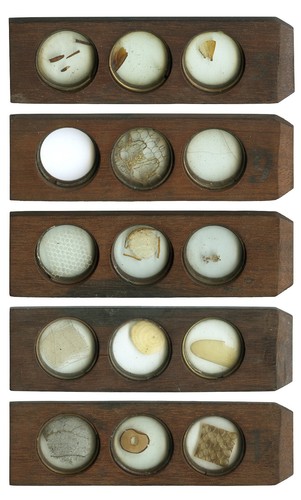 Antique microscope slides - antique,