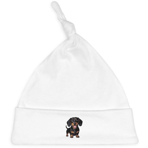 Dachshund sausage dog - 'dachshund,