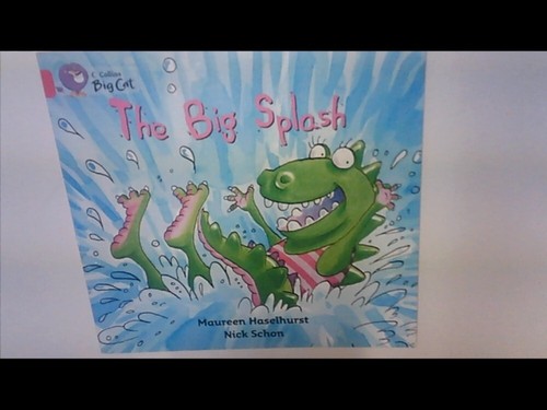 Big cat the splash - cat,