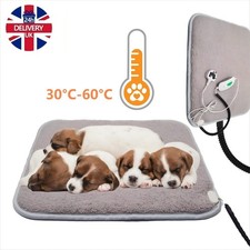 Pet heating pad - pad, dog