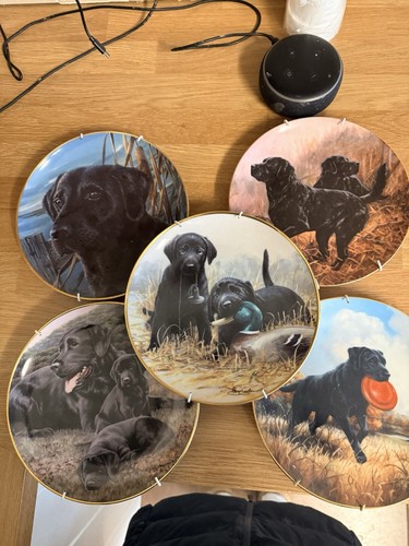 Royal doulton labrador - doulton,