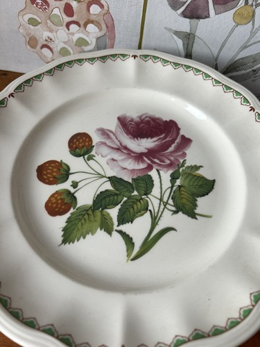 Spode plate rose strawberry - plate,,