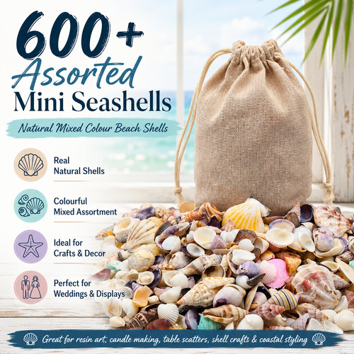 600 mini seashells mixed - seashells,