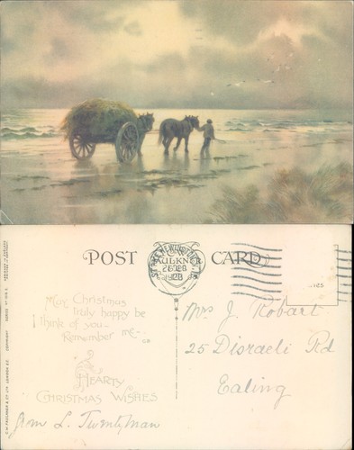 Horse drawn cart - , beach