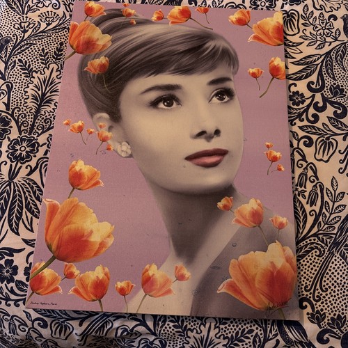 Audrey hepburn canvas - in, vgc