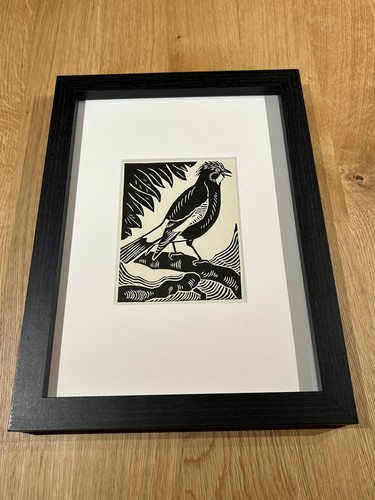 Jay framed woodcut bird - framed,