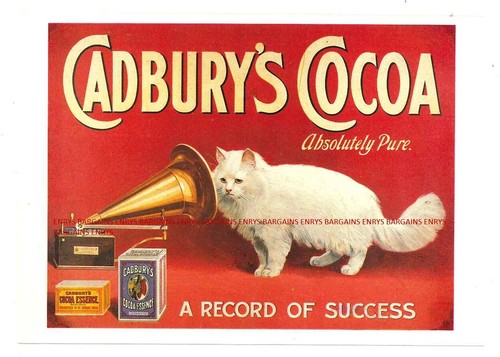Cadbury cocoa absolutely - cadbury's, cocoa,