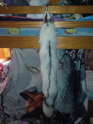 Ranch arctic marble fox pelt - arctic,