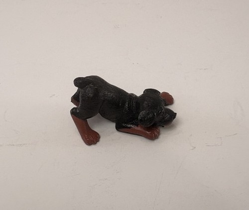 1995 meg rottweiler puppy - puppy, dog
