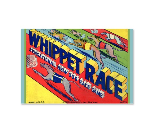 Vintage whippet dog race - whippet,