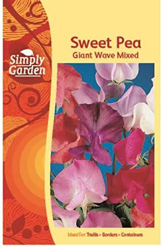 Sweet pea giant - sweet,