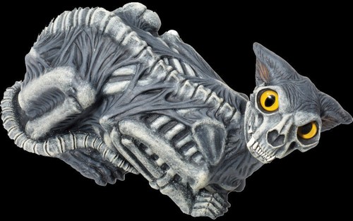 Zombie cat halloween - zombie,