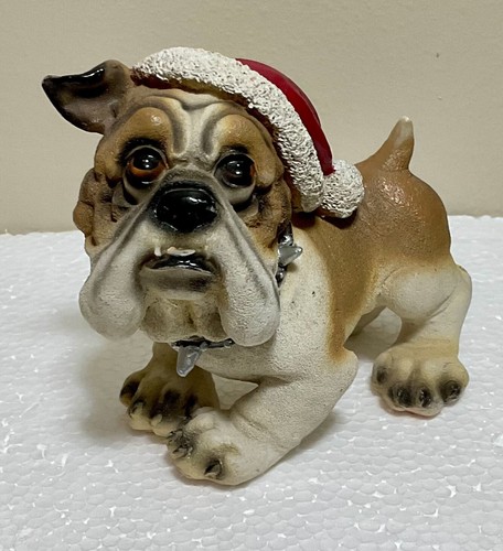 English bulldog wearing - english,