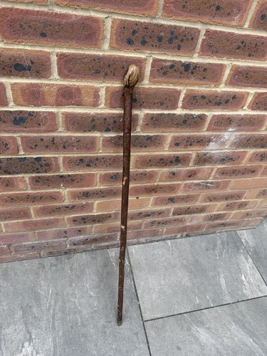 Unusualantique rustic hedge - unusualantique,