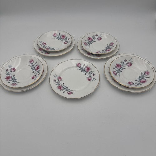 Salisbury fine bone china - fine,