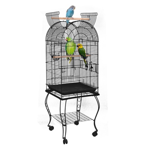 Powder coated budgie - coated,