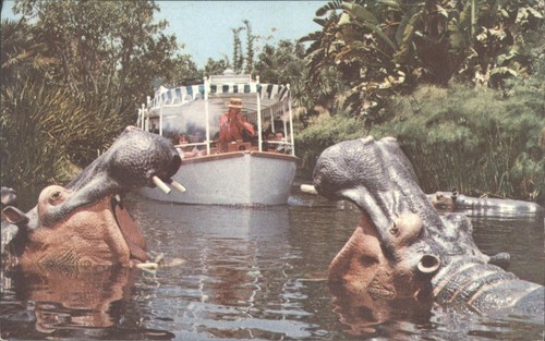 Vintage disneyland jungle - vintage,