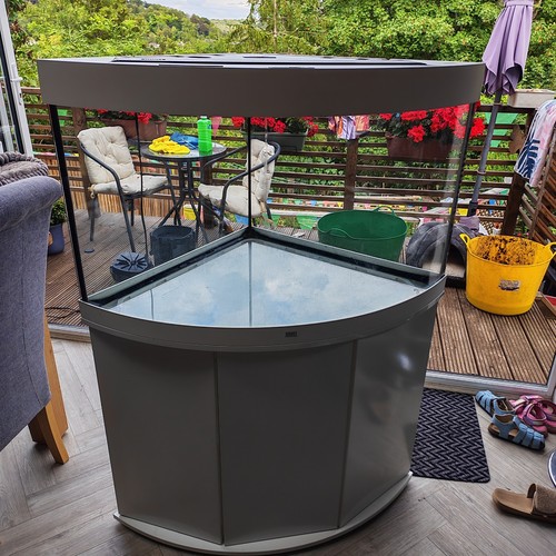 Juwel aquarium fish tank - fish,