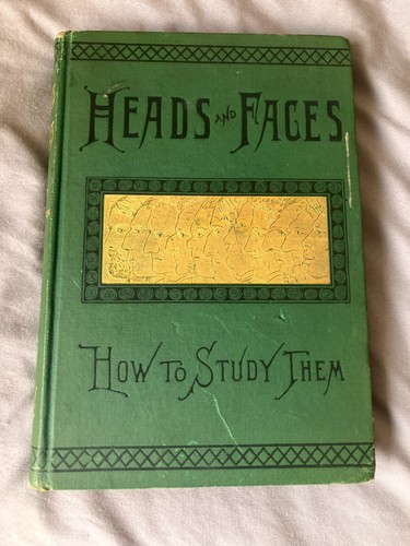Heads and faces how study - faces,