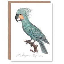 Francois Levaillant Art Card