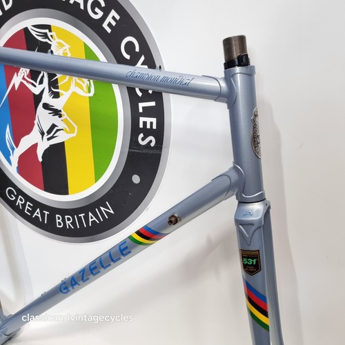 1986 gazelle champion - 1986,